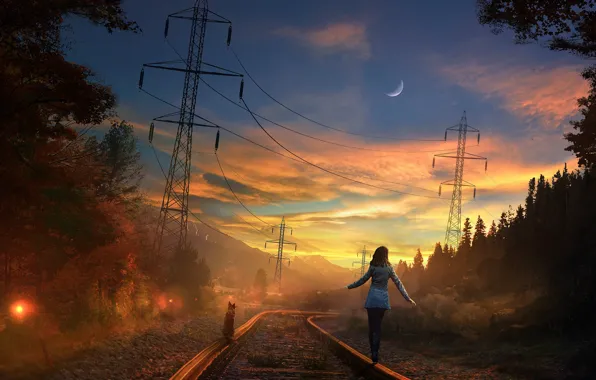 Road, forest, the sky, cat, girl, sunset, the moon, rails