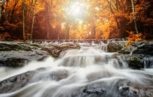 Autumn, forest, landscape, river, rocks, waterfall, forest, river