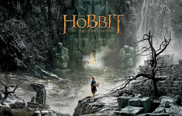 Picture Ring, The hobbit, The Hobbit, Bilbo Baggins, Bilbo Beggins, The Desolation Of Smaug, Dwarves, The …