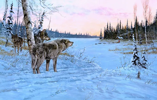 Winter, road, field, forest, dogs, the sky, look, snow