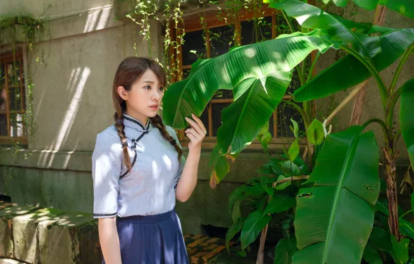 Picture leaves, face, hair, Asian