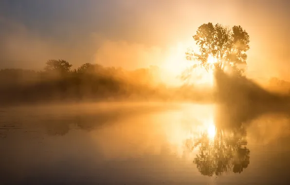 Picture nature, lake, morning, haze
