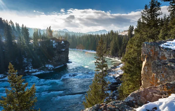 Picture winter, trees, mountains, rocks, Canada, Albert, Alberta, Canada