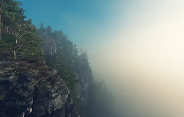 Forest, summer, the sky, trees, mountains, fog, rocks, morning