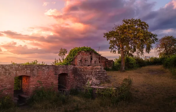 Picture road, autumn, summer, the sky, grass, clouds, sunset, nature