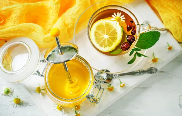Picture grass, chamomile, honey, Cup, fragrant, Nyuraus