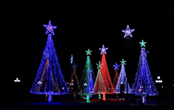 Picture tree, lights, new year, night