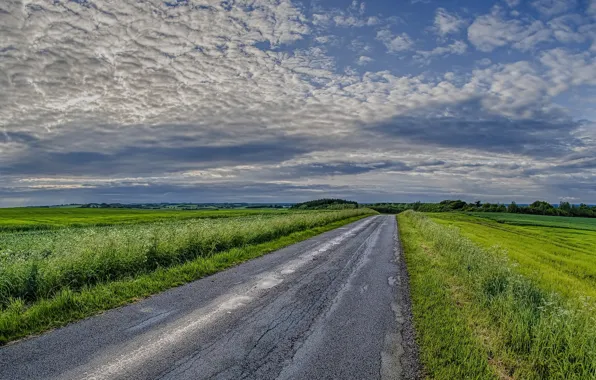 Road, field, the sky, landscape