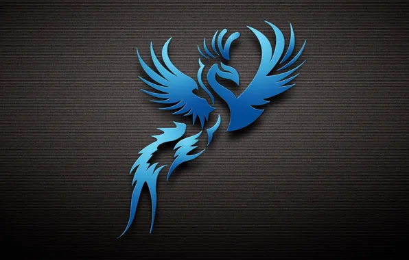 Picture bird, blue, the dark background
