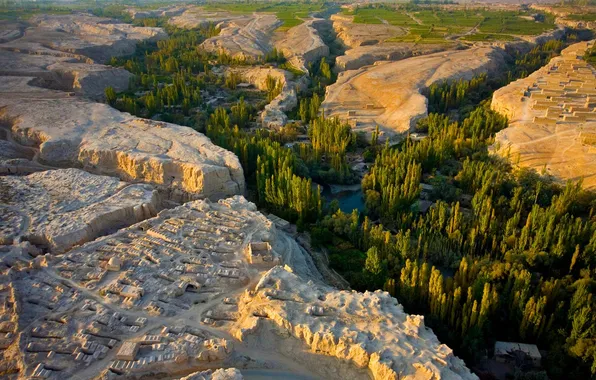 Trees, river, valley, China, plateau, Xinjiang