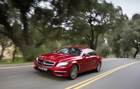 Picture road, trees, red, Mercedes-Benz, speed, sedan, Mercedes, AMG
