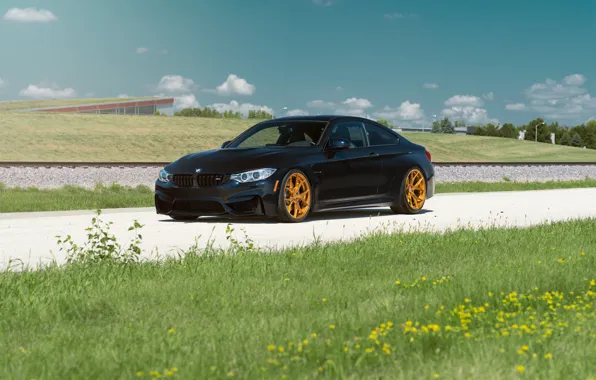 Picture BMW, Car, Grass, Front, Black, Day, Summer, Azurite