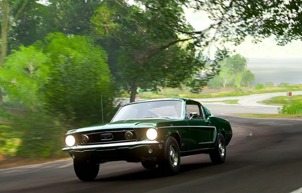 Picture car, Ford, vehicle, video games, Forza Horizon 4, green cars, 1965 Ford Mustang