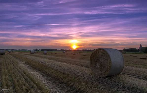 Picture field, summer, sunset, hay
