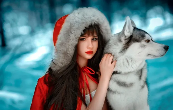 Picture winter, forest, look, girl, snow, background, each, dog