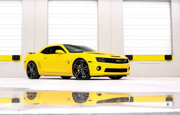 Picture Camaro, Edition, Chevrolet, yellow, Transformers