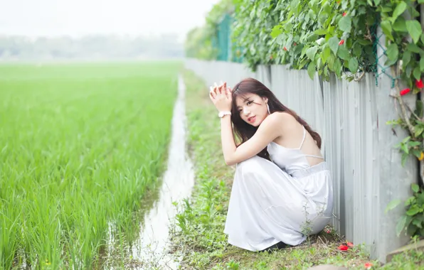 Girl, woman, asian, Field