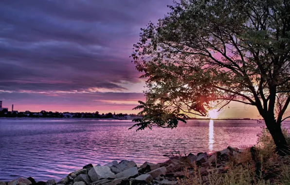 Picture river, dawn, Nature, treatment, morning, sunshine, river, nature