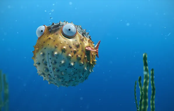 Sea, eyes, algae, bubbles, ball, fish, spikes