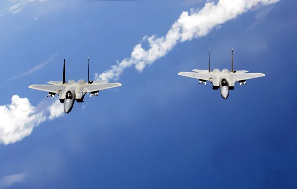 The sky, pair, aircraft, patrol