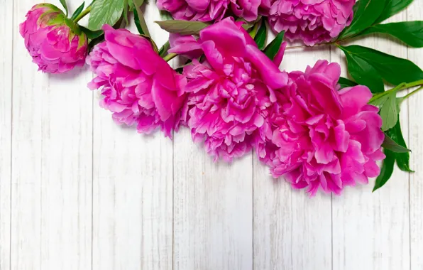 Flowers, Board, bouquet, lies, pink, light background, peonies, peony