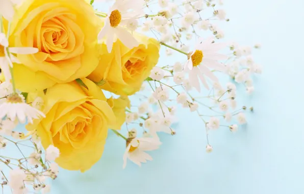 Chamomile, bouquet, yellow roses