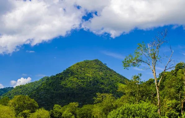 Forest, the sky, clouds, mountains, Brazil, Bahia