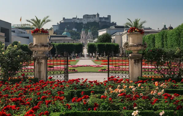 Flowers, Austria, garden, fortress, beds, Austria, Salzburg, Salzburg