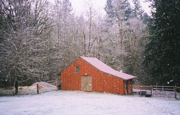 Picture trees, winter, branches, farm, shed, snowing