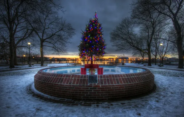 The city, holiday, tree