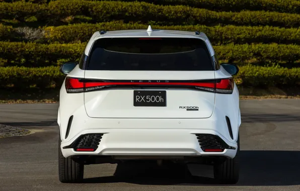 Picture Lexus, Lexus, rear view, 2022, Lexus RX 500h