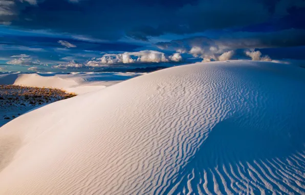 Desert, USA, New Mexico, National Park White Sands, gypsum dunes