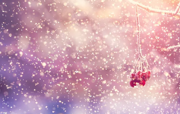 Winter, snow, nature