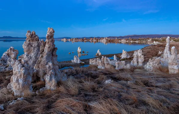 Lake, CA, USA, Mono Lake