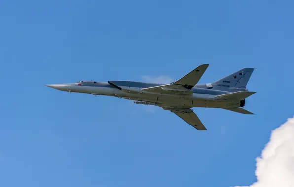 Picture aircraft, bomber, military, aviation, Tu-22M