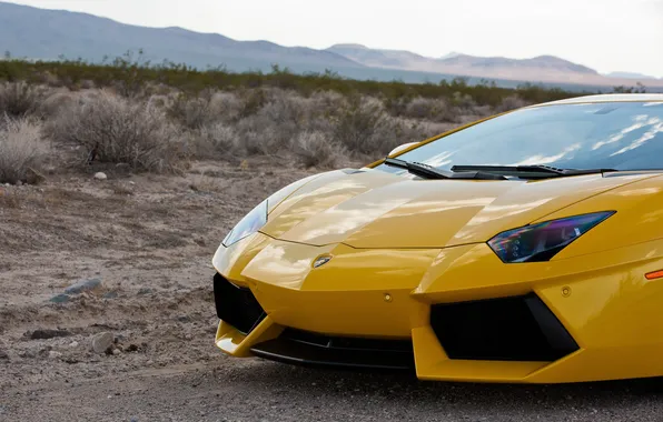 The sky, grass, yellow, horizon, lamborghini, yellow, the front, primer