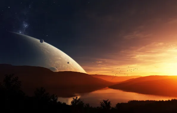 The sun, birds, planet