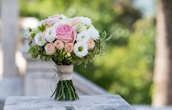 Glare, background, roses, bouquet, bokeh, eustoma