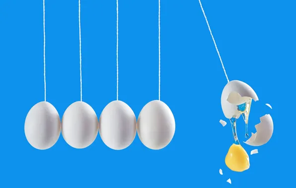 Eggs, eggs, Dina Belenko, Newton's cradle