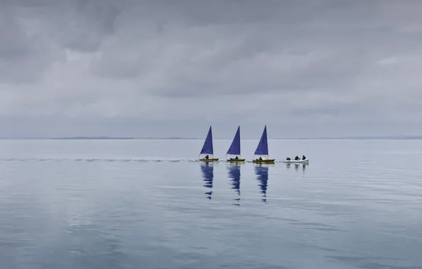 Sea, water, reflection, sail, training day