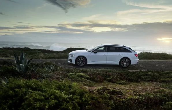 White, Audi, side view, hybrid, universal, Audi A6, 2020, A6