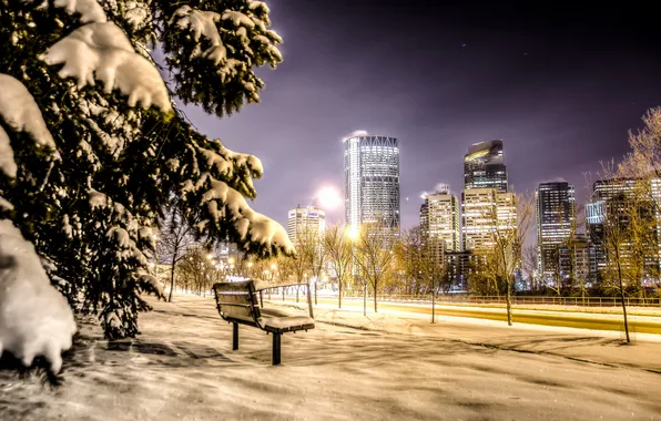Picture night, the city, bench, Calgary