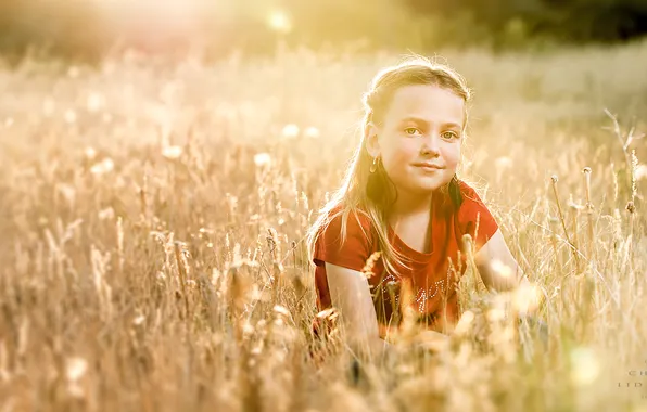 Picture field, summer, mood, girl
