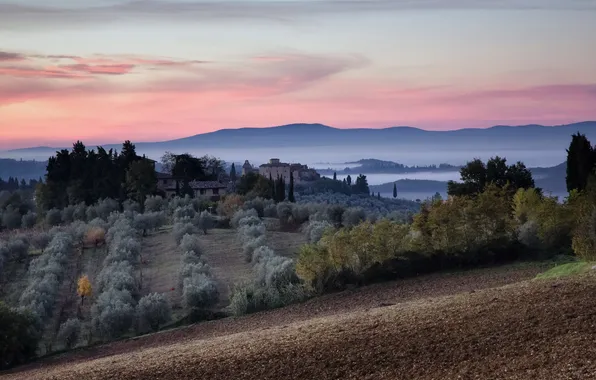 Picture landscape, Tuscan, Dreamland