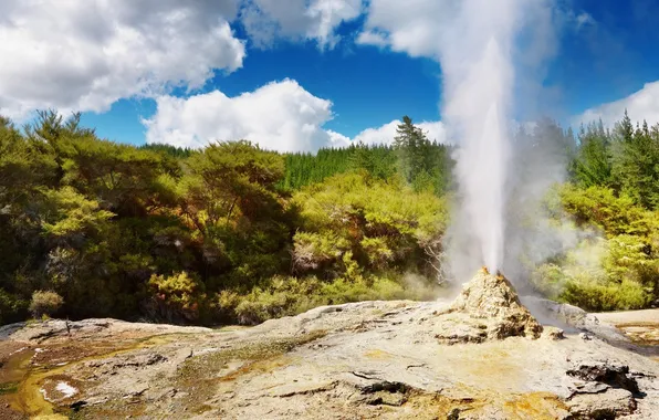 Greens, grass, squirt, rock, geyser