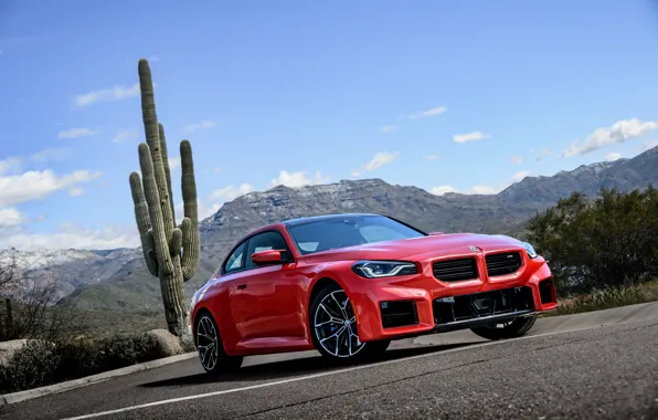 Picture car, BMW, cactus, M2, G87, 🤢, BMW M2 AT