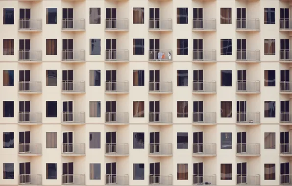 Windows, building, construction