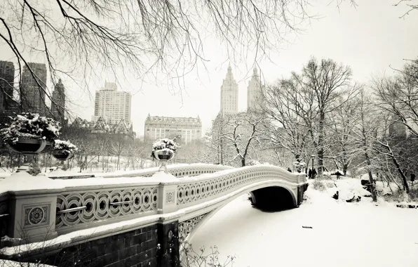 Winter, snow, trees, nature, the city, New York, USA, USA