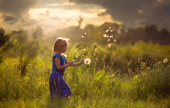 Picture field, summer, the sun, girl