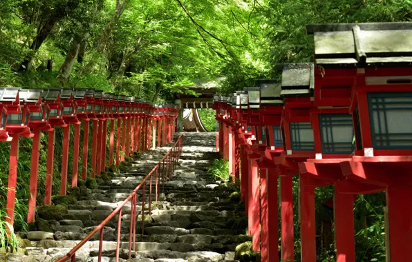 Ladder, Lights, Railings, Kyoto, Sanctuary, Epona, Kifune-Jinja